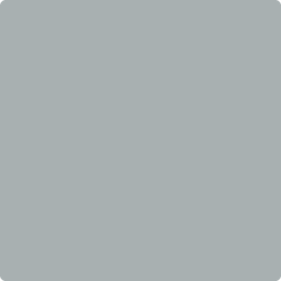 2134-50: Gull Wing Gray a paint color by Benjamin Moore avaiable at Clement's Paint in Austin, TX.