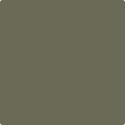 2141-30: Army Patch a paint color by Benjamin Moore avaiable at Clement's Paint in Austin, TX.