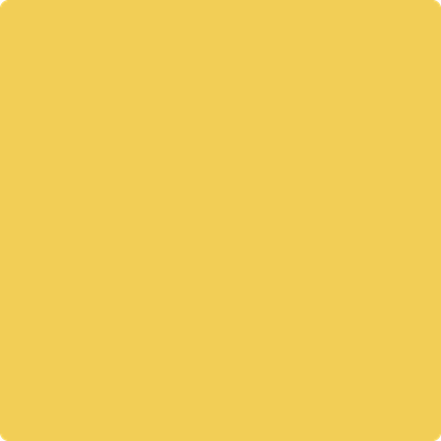349-Yellow: Brick Road a paint color by Benjamin Moore avaiable at Clement's Paint in Austin, TX.