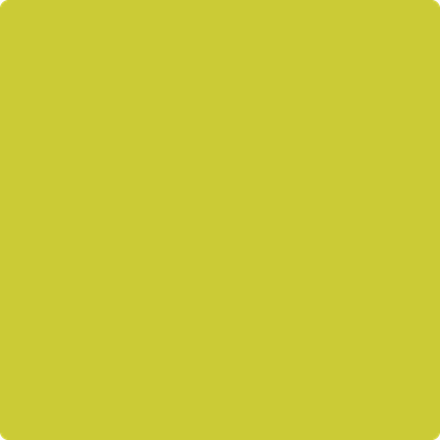 399-Exotic: Lime a paint color by Benjamin Moore avaiable at Clement's Paint in Austin, TX.