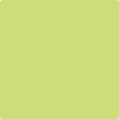 403-Candy: Green a paint color by Benjamin Moore avaiable at Clement's Paint in Austin, TX.
