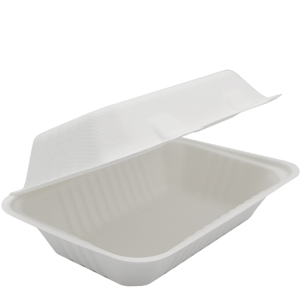Dispo Disposable Tableware 9" x 6" / 250 Boxes Bagasse Lunch Boxes