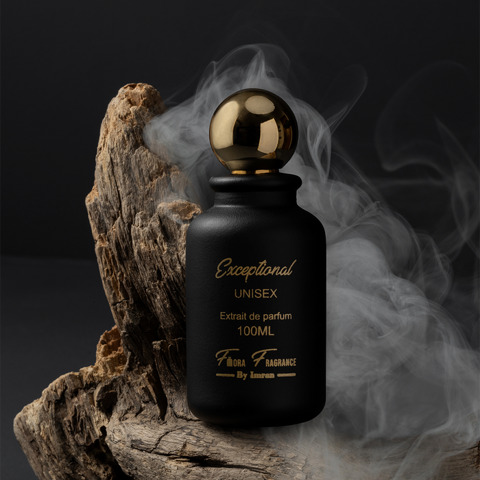 EXCEPTIONAL Inspired By: LV Omber Nomade