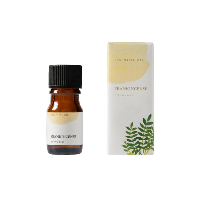 TREE OF LIFE W Frankincense Essential Oil 5ml | Isetan KL Online Store