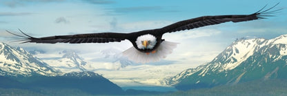 1000 Piece Panoramic Jigsaw Puzzle - Eagle | EUROGRAPHICS