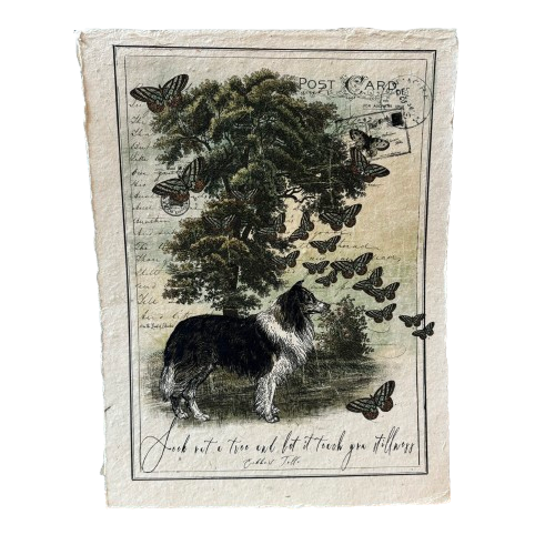 12x16 Artisan Paper Print, seek out a tree