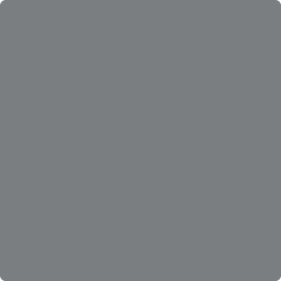 2121-20: Steel Wool  a paint color by Benjamin Moore avaiable at Clement's Paint in Austin, TX.