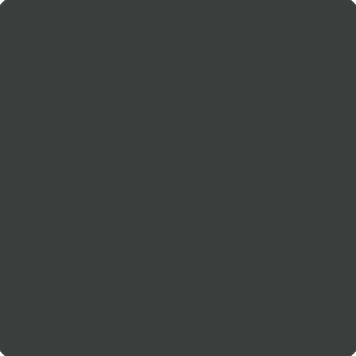 2135-10: Blacktop  a paint color by Benjamin Moore avaiable at Clement's Paint in Austin, TX.