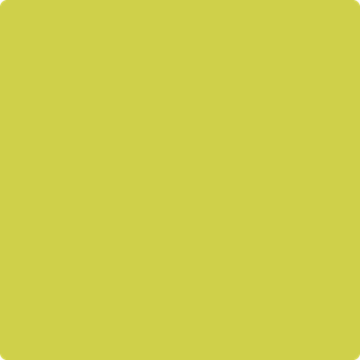 398-Flower: Power  a paint color by Benjamin Moore avaiable at Clement's Paint in Austin, TX.