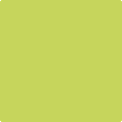404-Electric: Slide  a paint color by Benjamin Moore avaiable at Clement's Paint in Austin, TX.