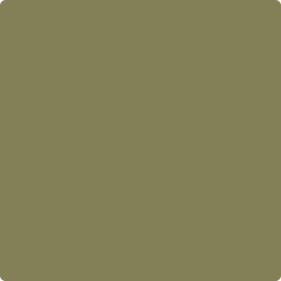 496-Chopped: Dill  a paint color by Benjamin Moore avaiable at Clement's Paint in Austin, TX.