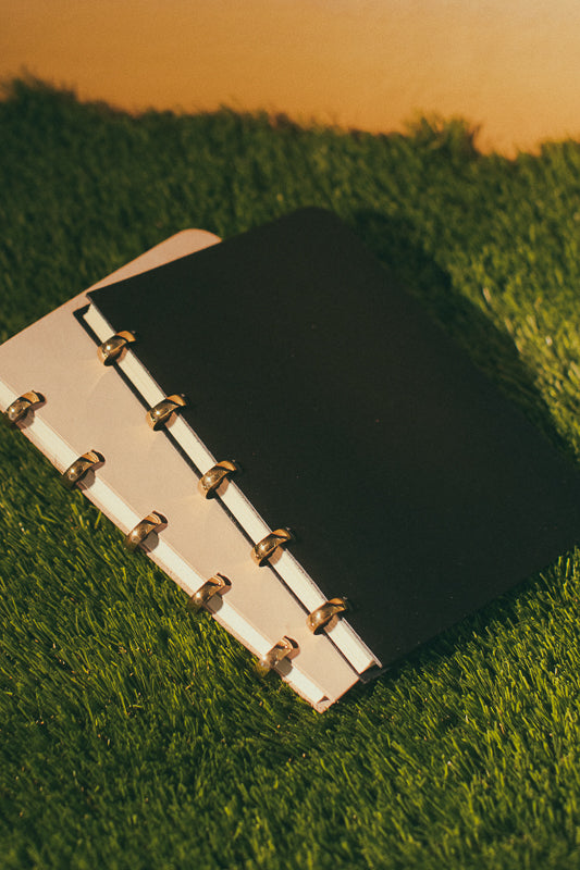 5 DISC PAD