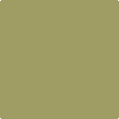531-Ponderosa: Pine  a paint color by Benjamin Moore avaiable at Clement's Paint in Austin, TX.