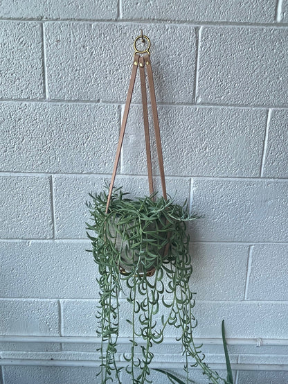 PLANT HANGER