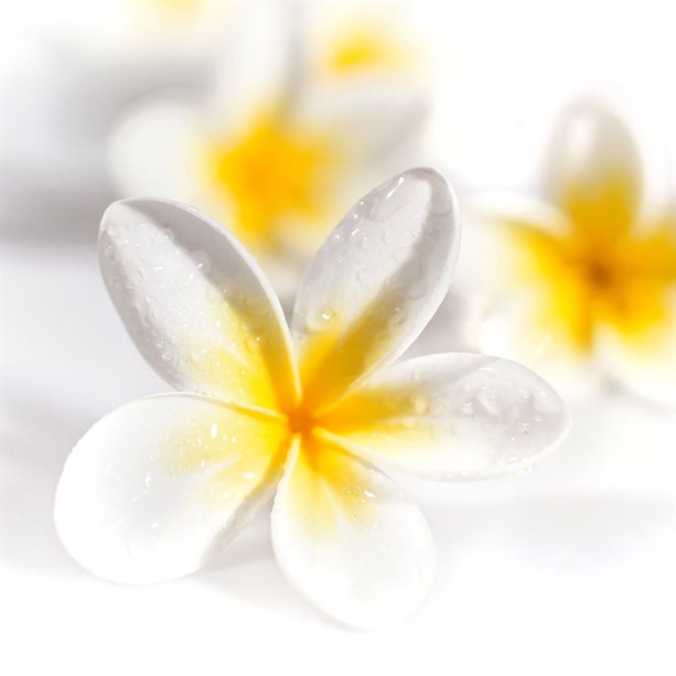 Avon Pur Blanca Essence Eau de Toilette - 50ml
