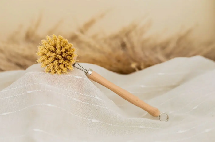 Beechwood Dish Brush