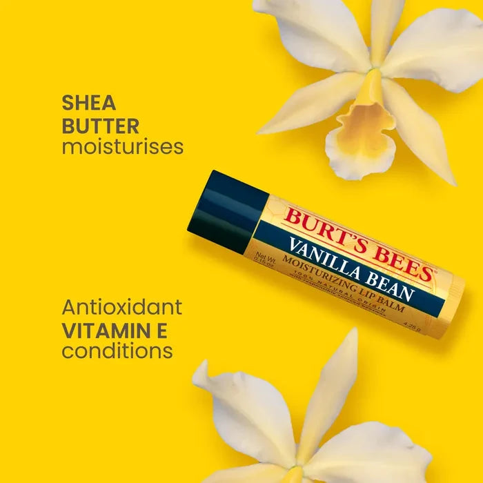 Burt's Bees Best of Burt's Lip Balm Four Pack