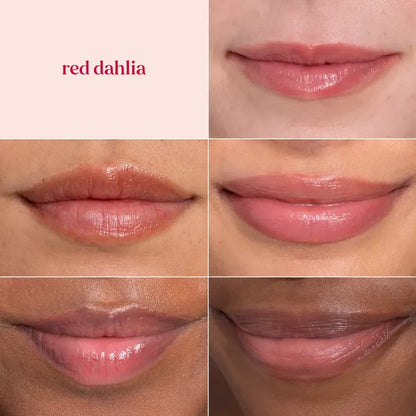 Burt's Bees Red Dahlia Tinted Lip Balm