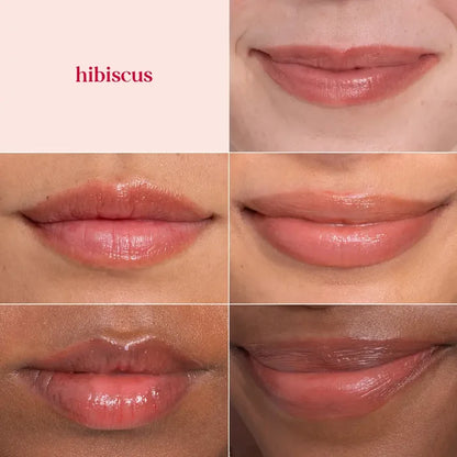 Burt's Bees Tinted Lip Balm Hibiscus
