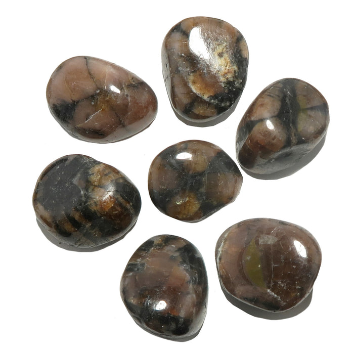 Chiastolite Tumbled Stone Set of 7