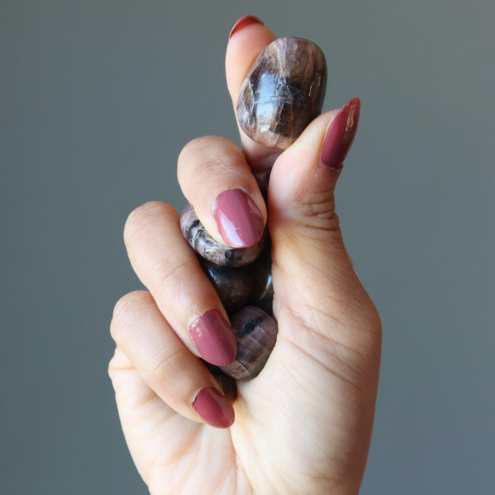 hand holding Chiastolite Tumbled Stone Set