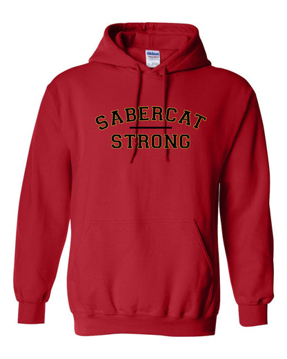 CV Softball Hoodie- Adult and Youth- 3 designs