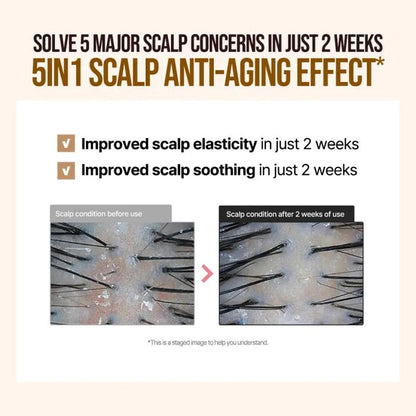 [DR. GROOT] Multi-Perfection Hair Loss Control Scalp Tonic 150ml