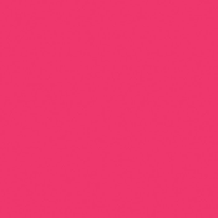 Pink Flamingo