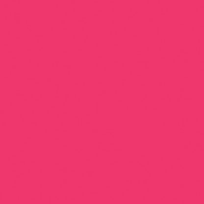 Pink Flamingo