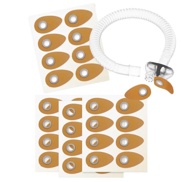 Eclipse Starter Kit Medium