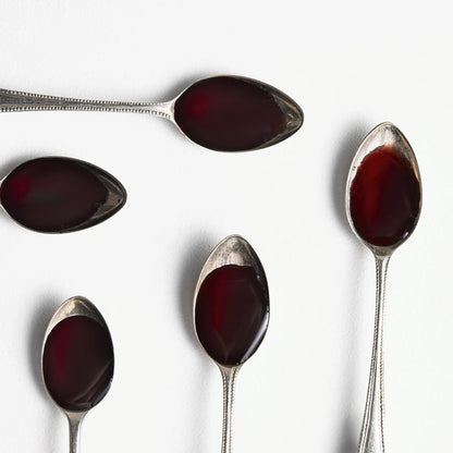 Elderberry Elixir
