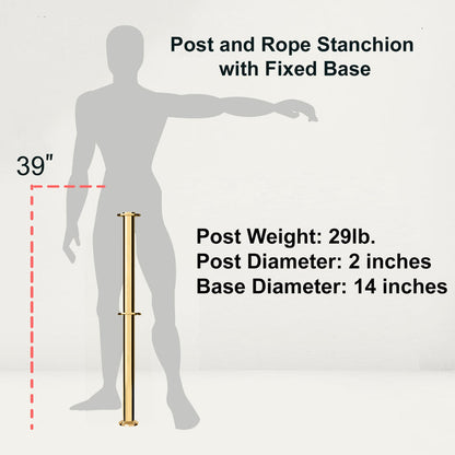 Flat Top Dual Rope Stanchion with Fixed Base - Montour Line CXLineDF - Crowd Control Warehouse