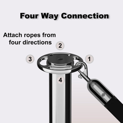 Flat Top Dual Rope Stanchion with Fixed Base - Montour Line CXLineDF - Crowd Control Warehouse