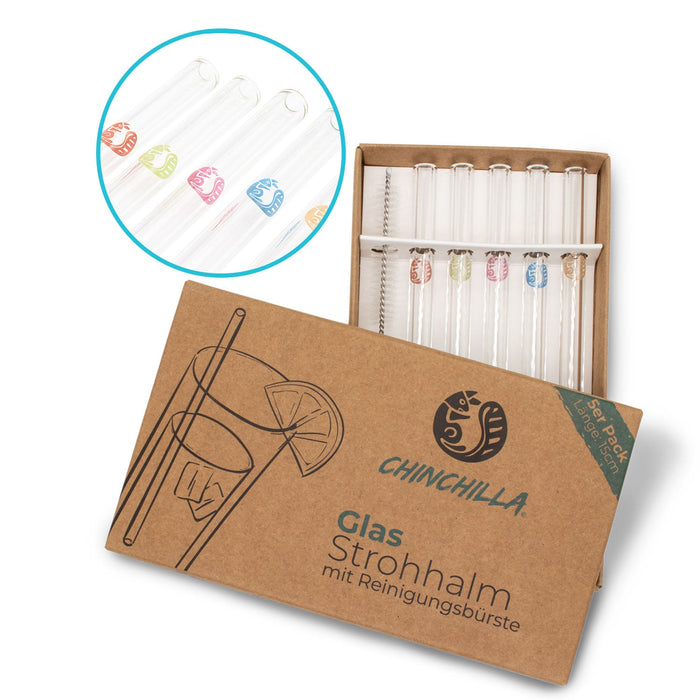GLASS STRAWS 15 CM with CLEANING BRUSH