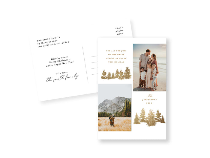 Golden Spruce Postcard