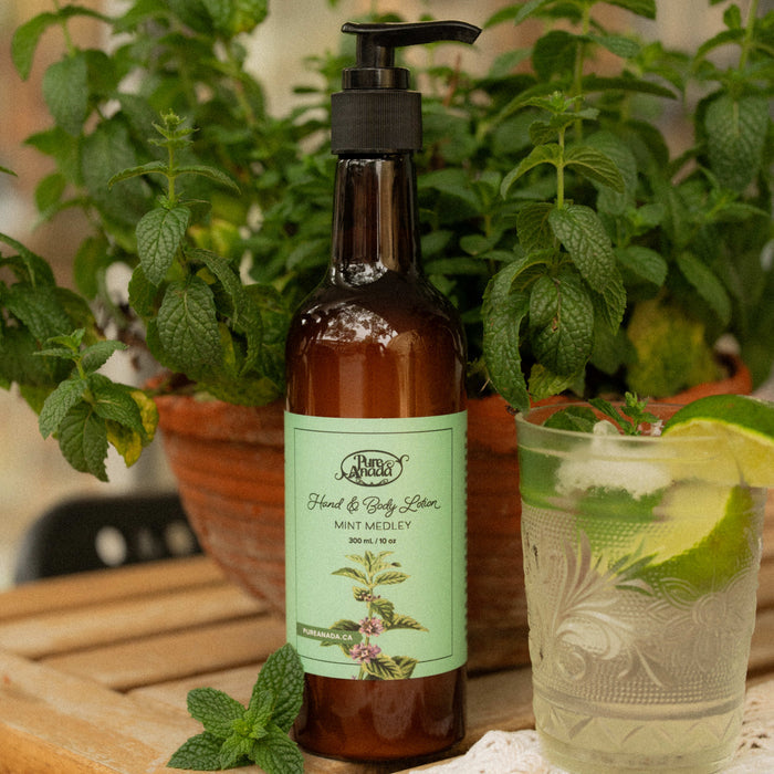 Hand & Body Lotion - Mint Medley