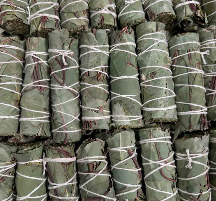 Eucalyptus