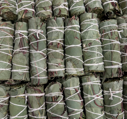 Eucalyptus
