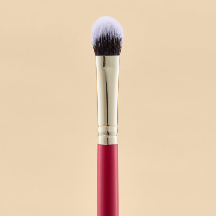 KIT DE BROCHAS SCARLET OJOS X21 PCS