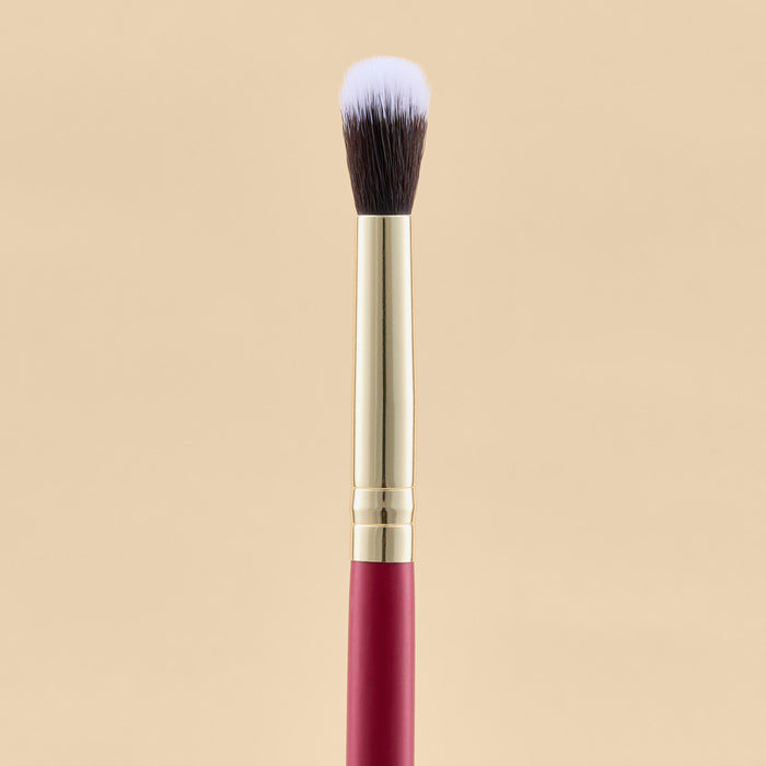 KIT DE BROCHAS SCARLET OJOS X21 PCS