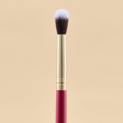 KIT DE BROCHAS SCARLET OJOS X21 PCS