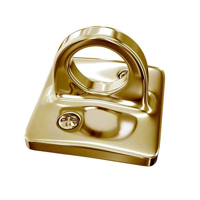 Large Loop (Dual Rope) Wall Plate Receiver for Hanging Ropes - Montour Line - Crowd Control Warehouse