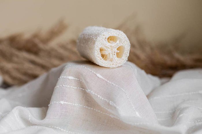 Loofah Sponge