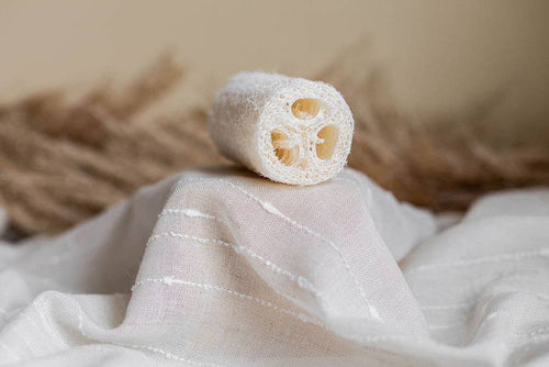 Loofah Sponge