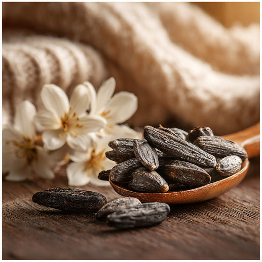 Loungewear & Lattes Fragrance Oil