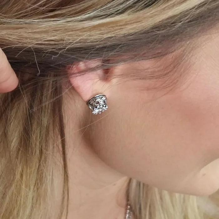 Montana Silversmiths Lucky Water Horseshoe Post Earrings