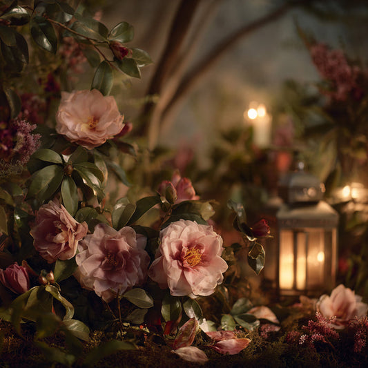 Moondance Fragrance Oil