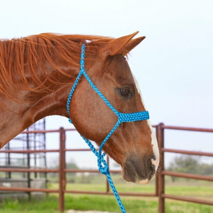 Mule Tape Rope Halter & Lead - 7 colours
