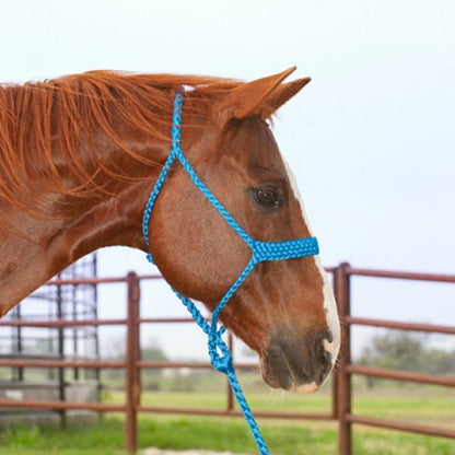 Mule Tape Rope Halter & Lead - 7 colours