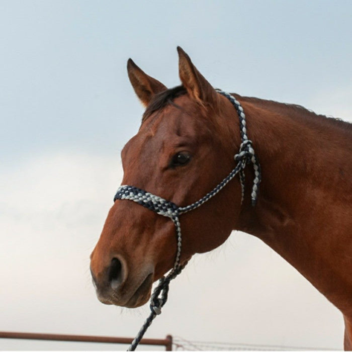 Mule Tape Rope Halter & Lead - 7 colours